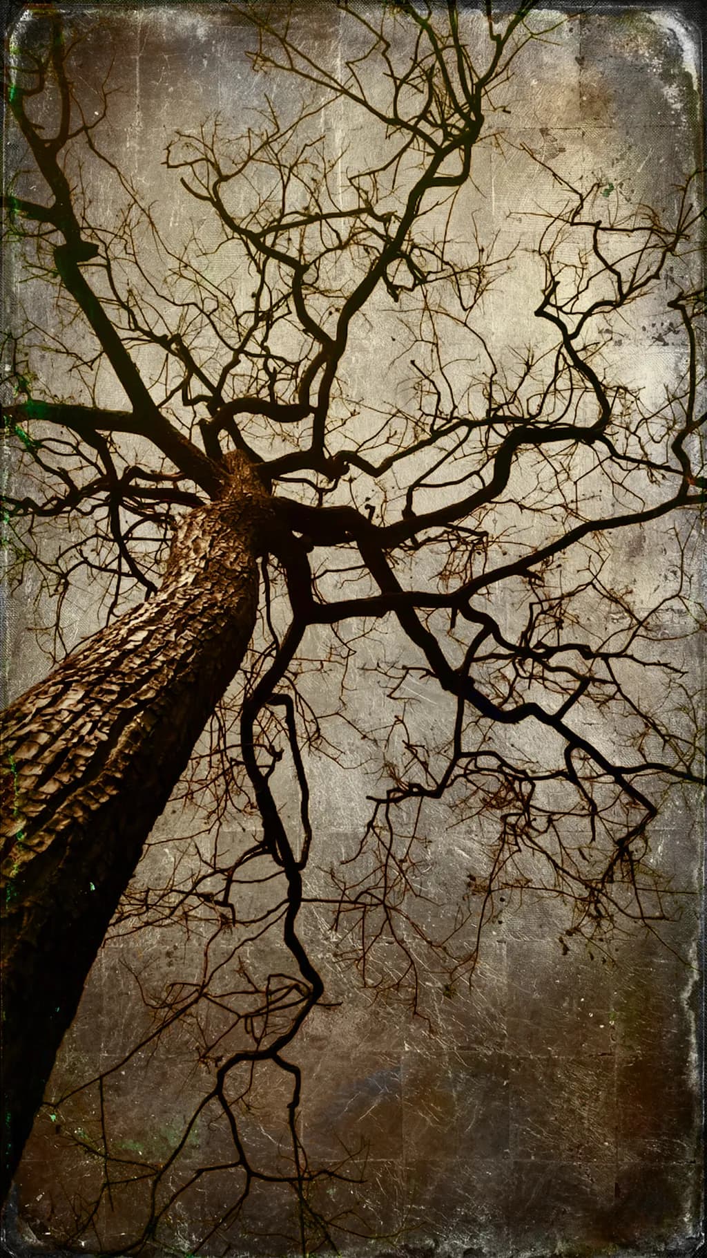 Twisted Silhouette