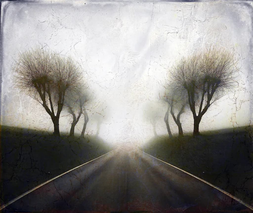 Fogbound Path
