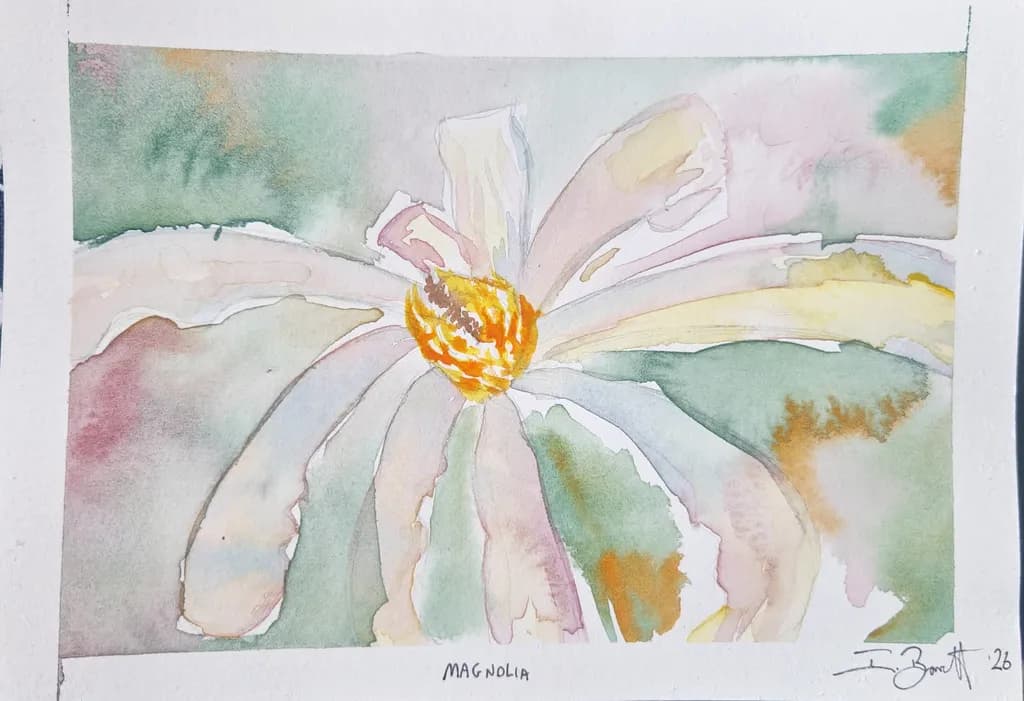 Magnolia Bloom