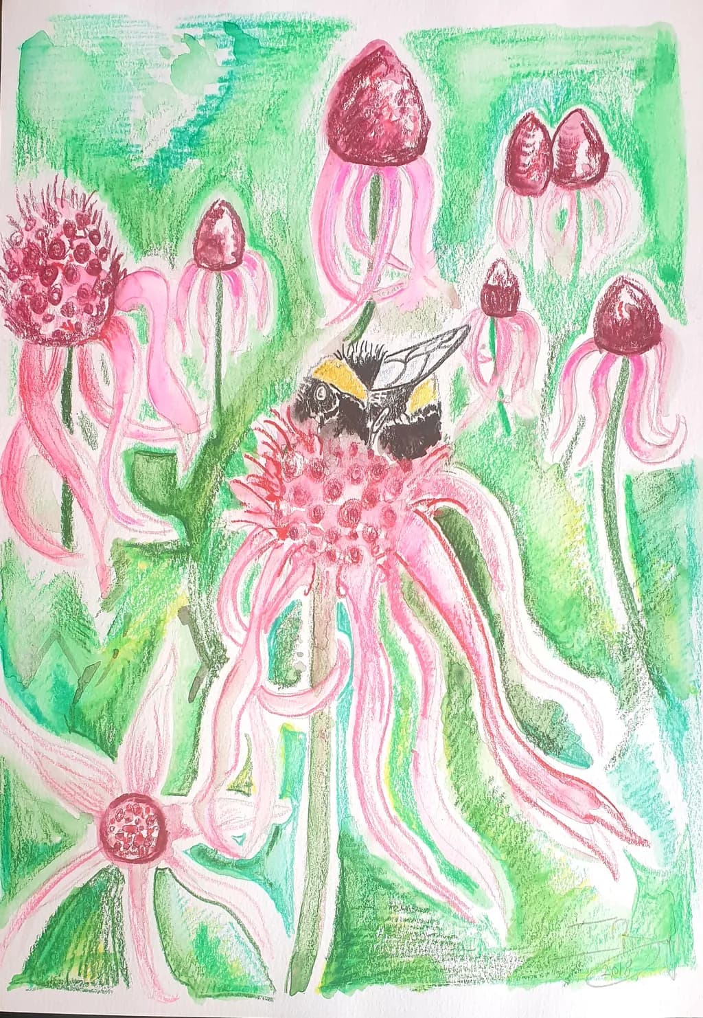 Pink Bloom Buzz