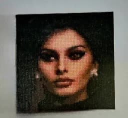 Sophia Loren