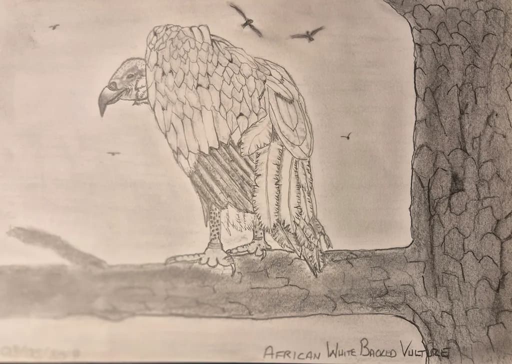 Perched Vulture