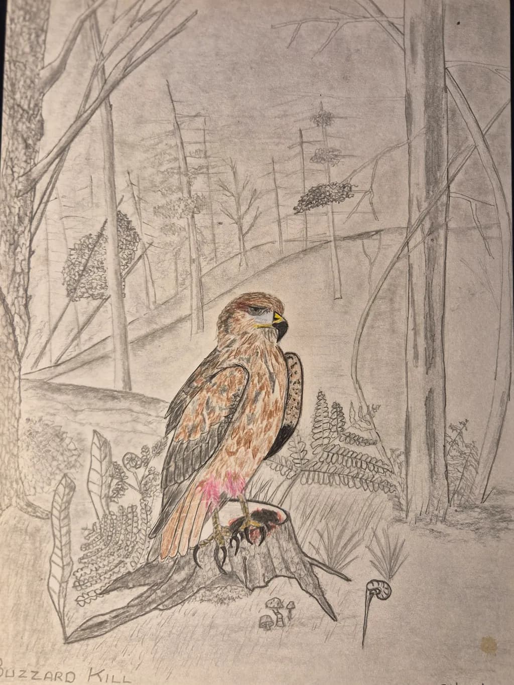 Buzzard Perch