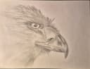 Original