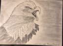 Original