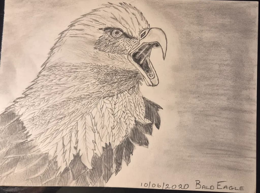 Bald Eagle Roar