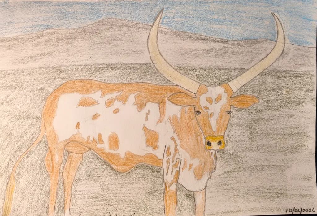 Longhorn Landscape