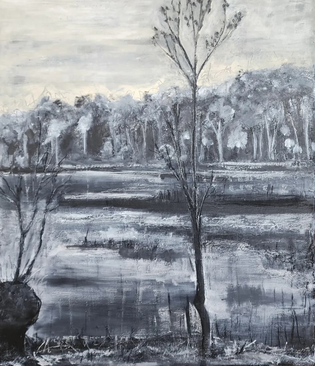 Silent Reflection
