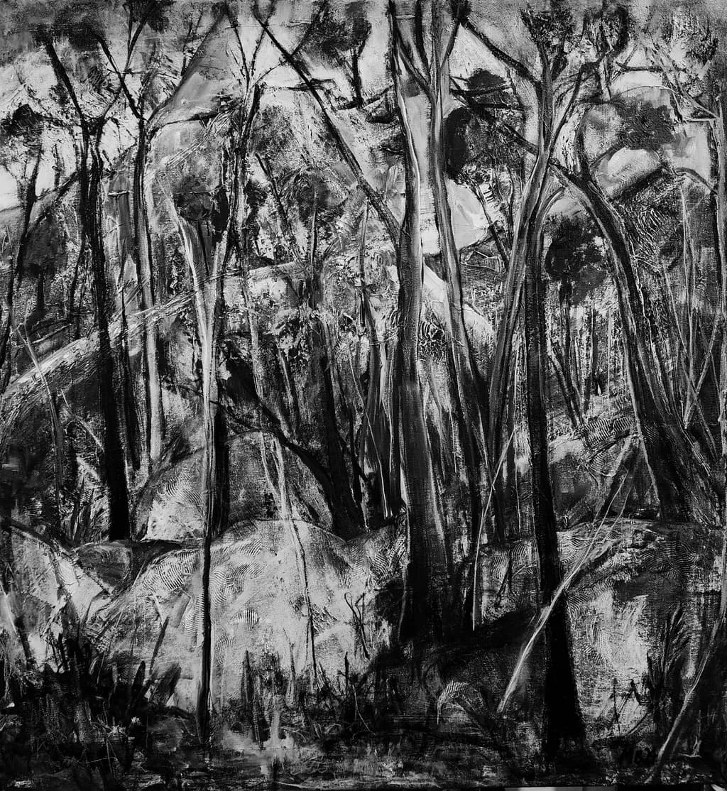 Textured Forest Depths