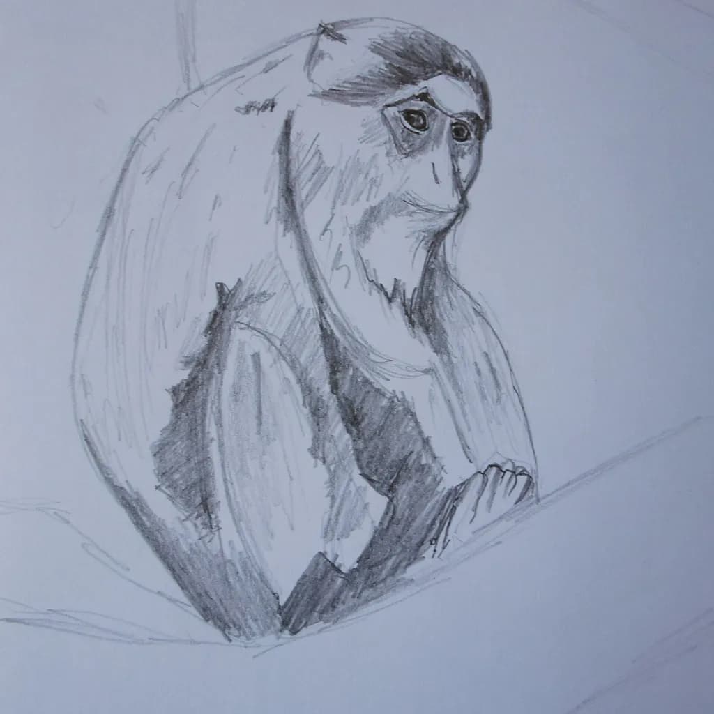 Pensive Primate