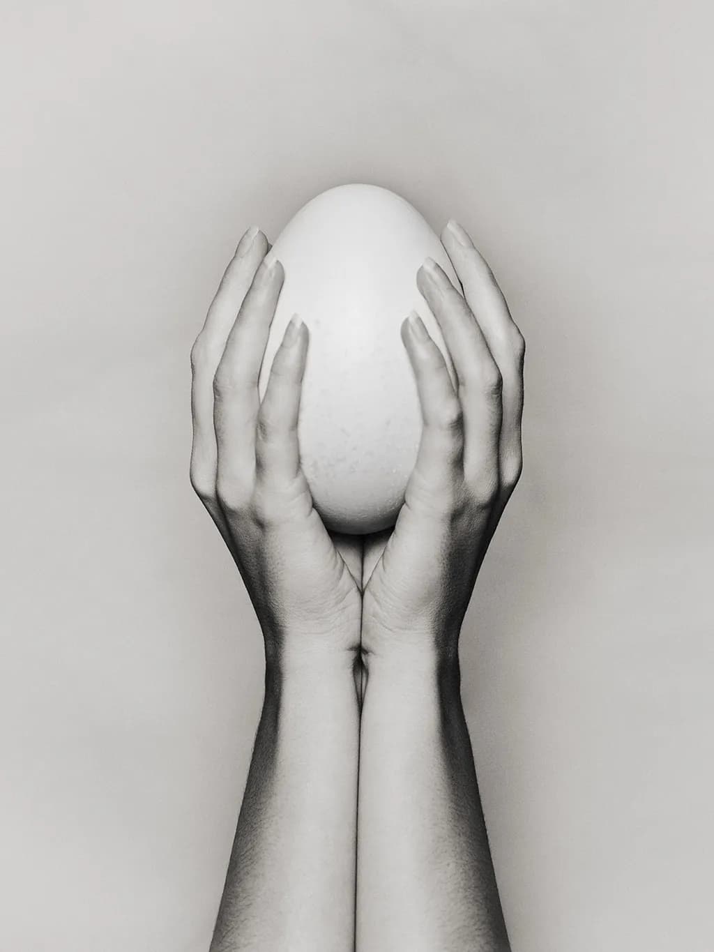 Cradled Egg