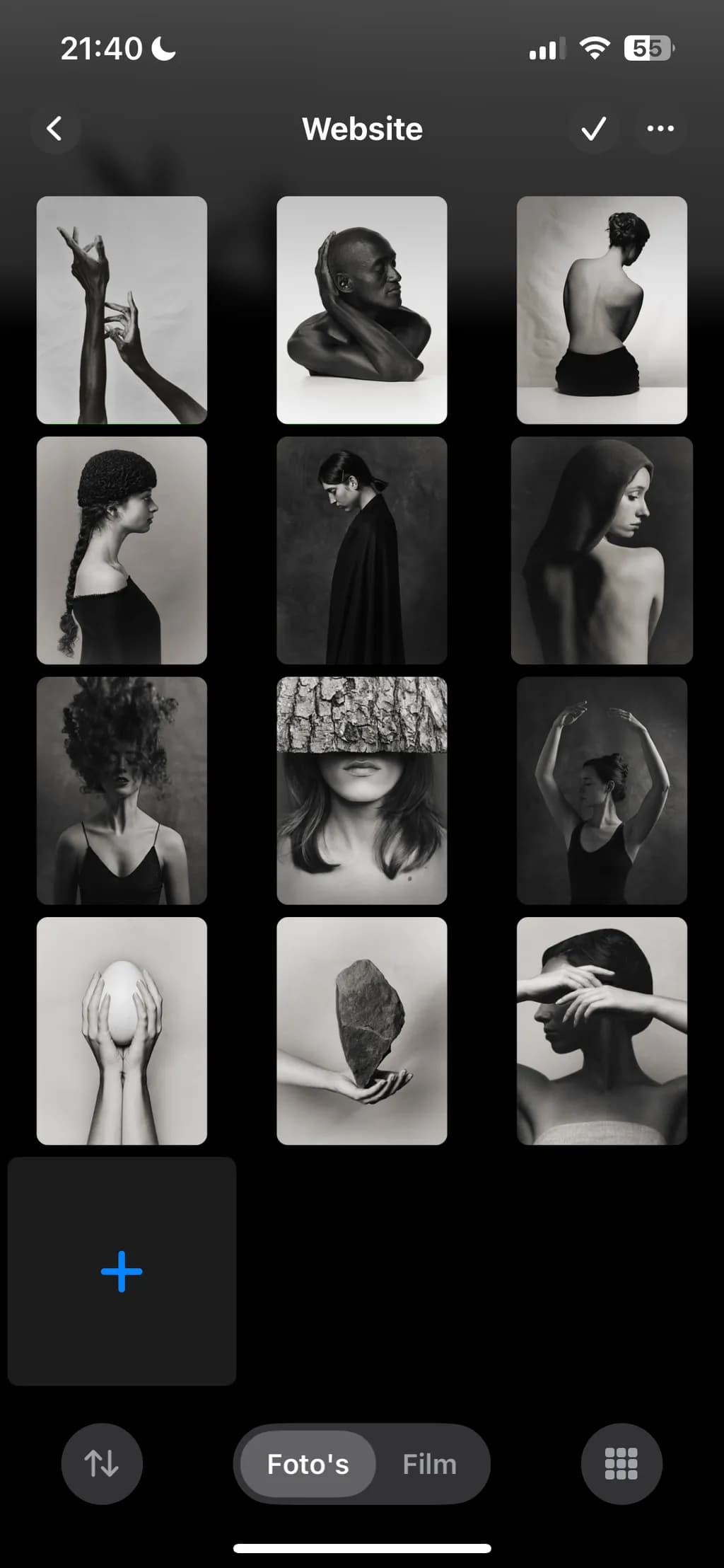 Monochrome Expressions