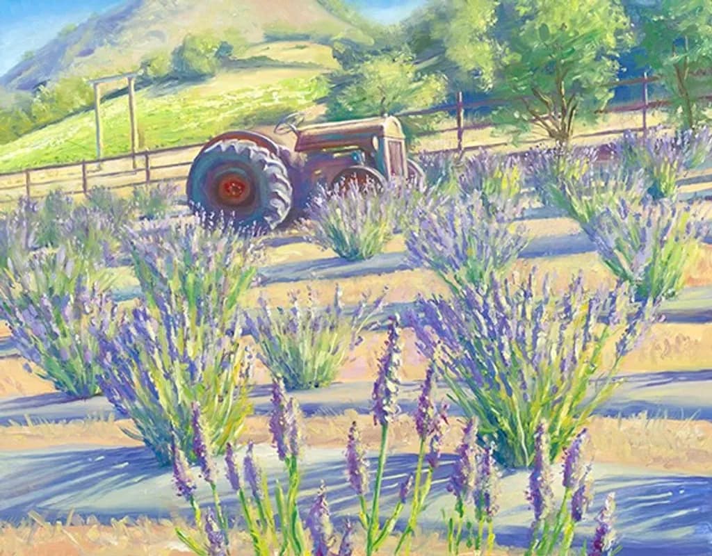 Morning Lavender Farm