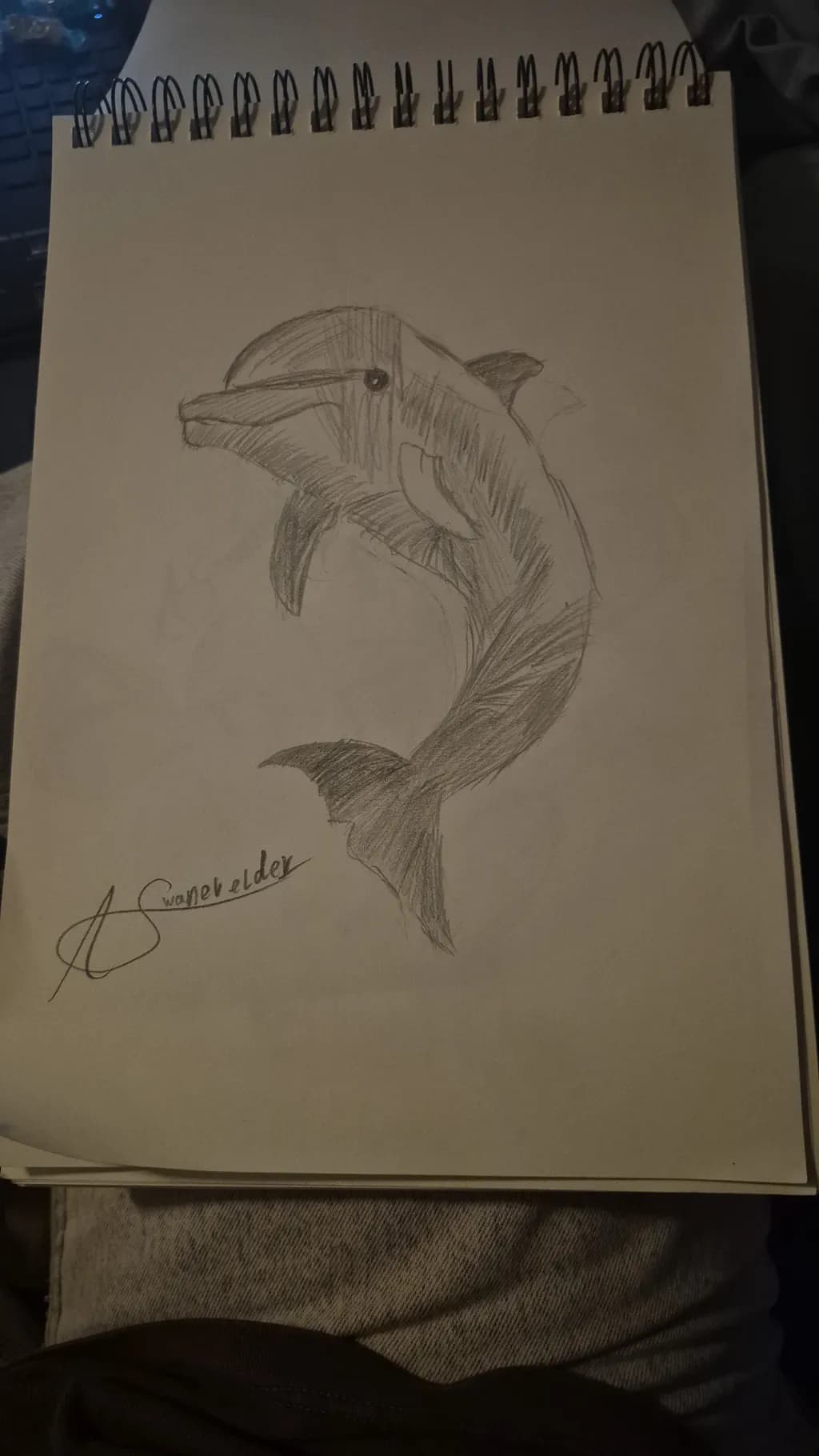 Leaping Dolphin