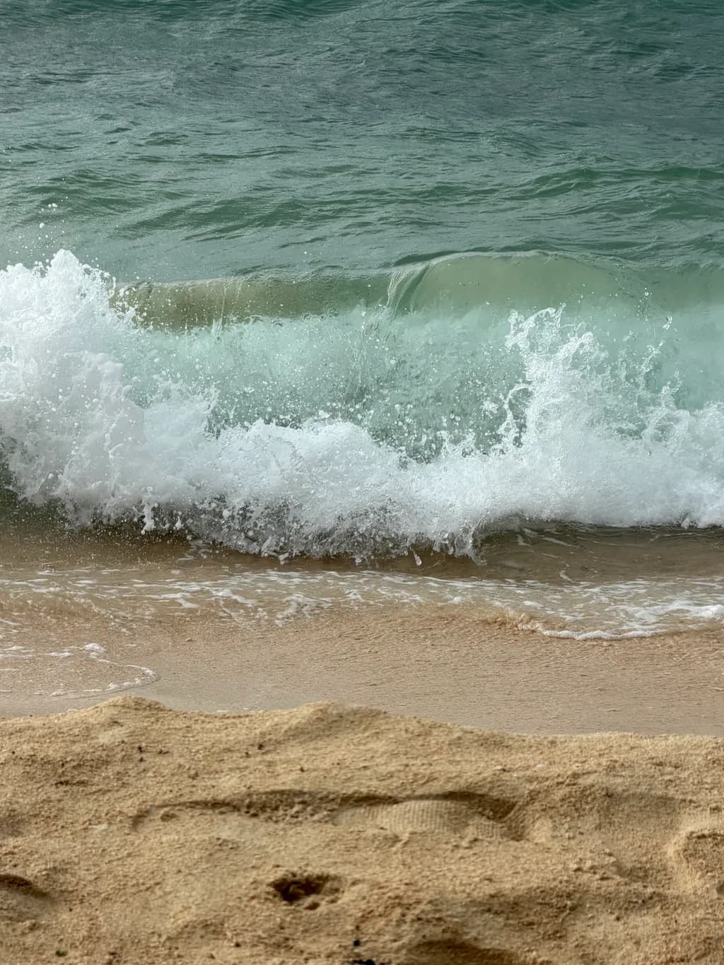 Shoreline Surge