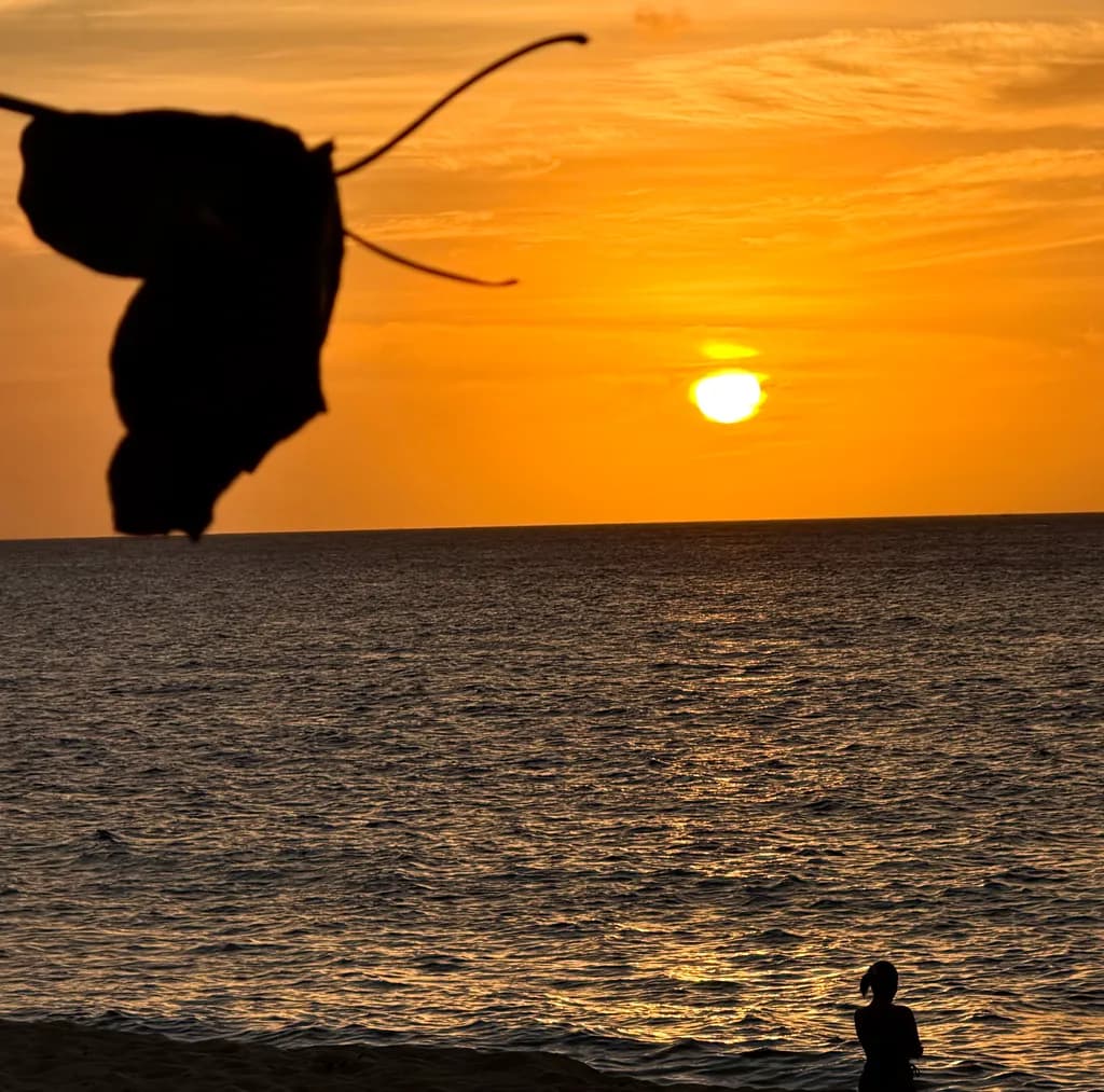 Sunset Reverie