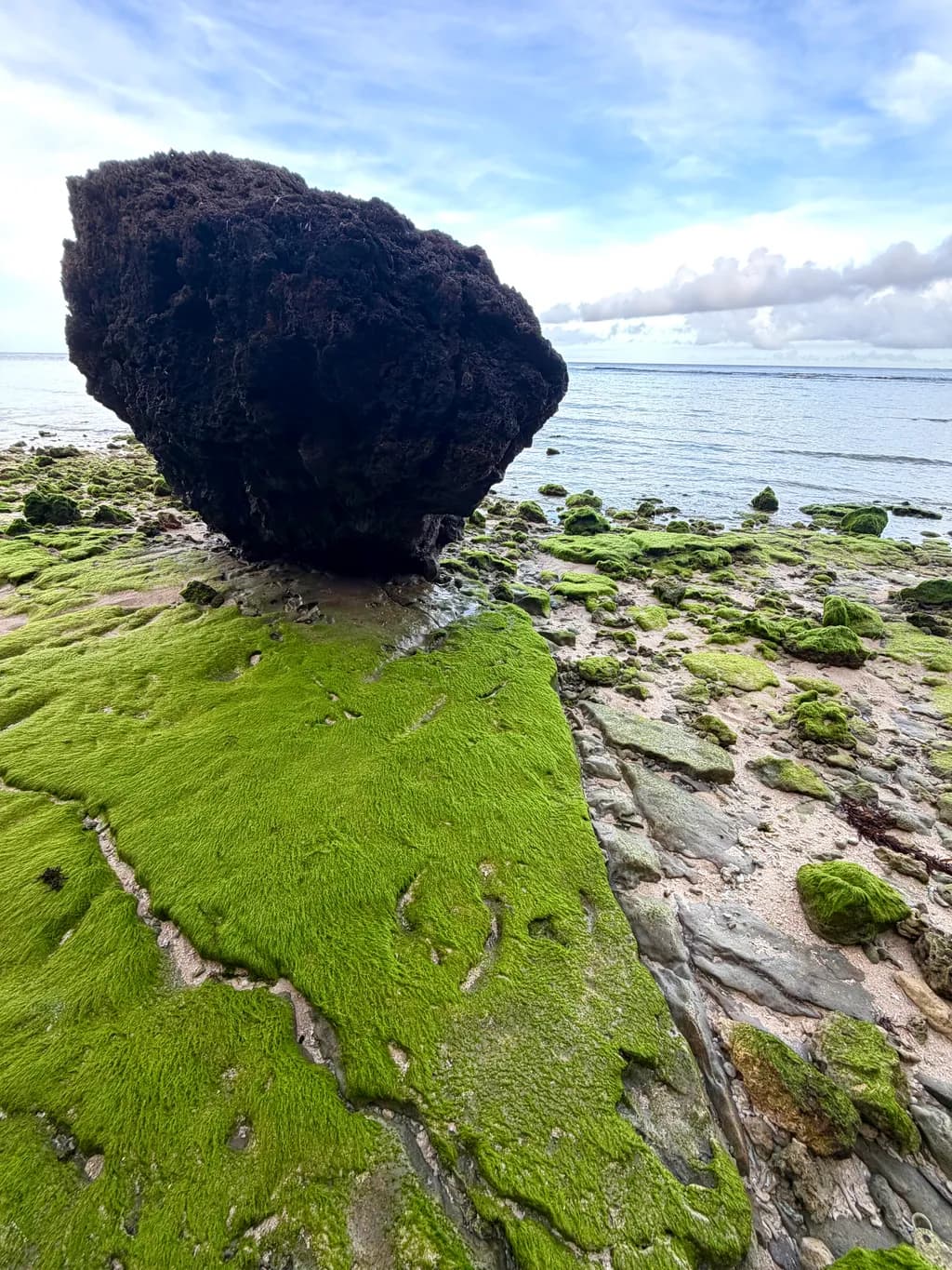 Moss-Covered Shorestone