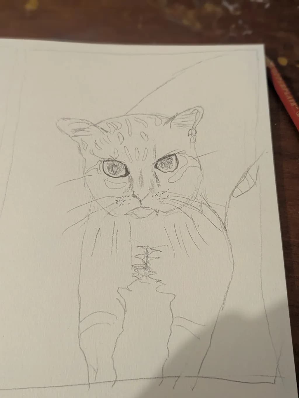 Intense Gaze
