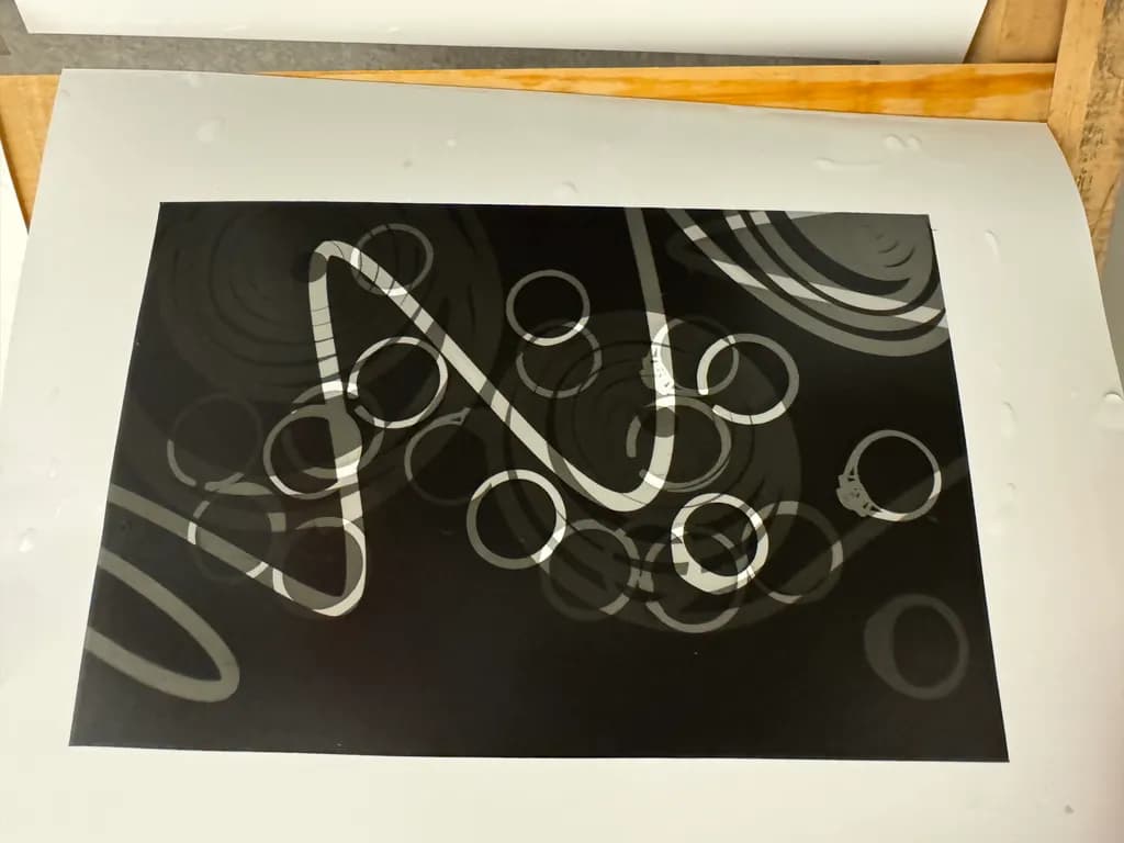 Looped Echoes