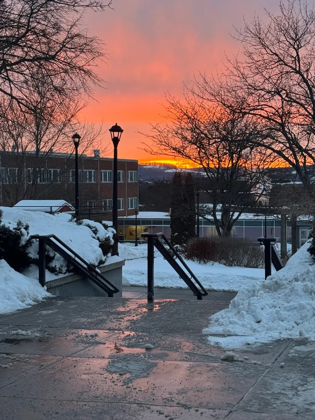 Winter Twilight Pathway