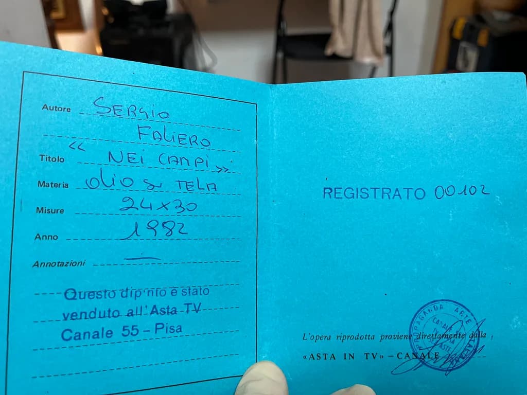 Nei Campi