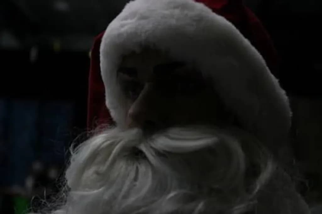 Shadowed Santa