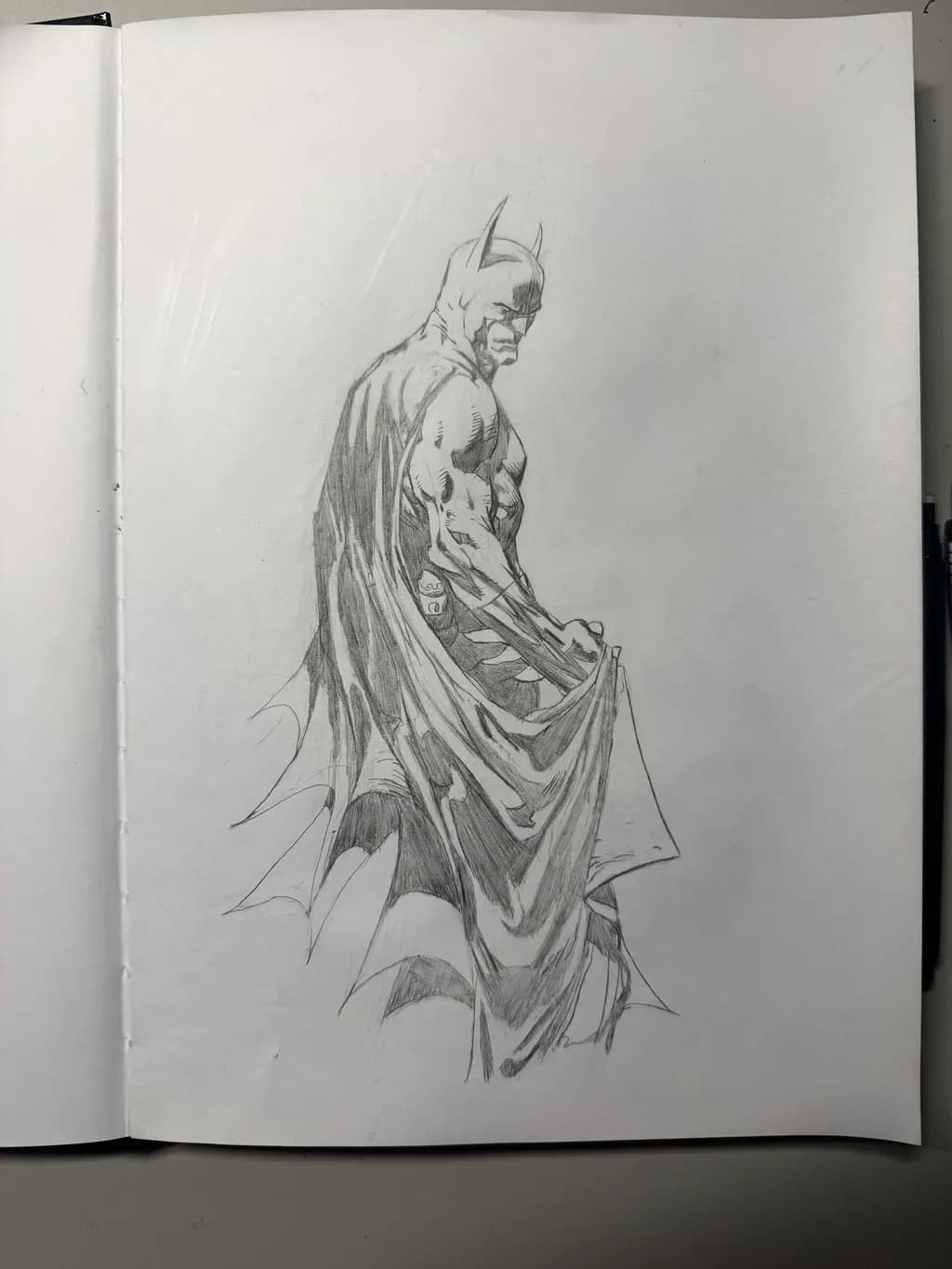Shadowed Guardian