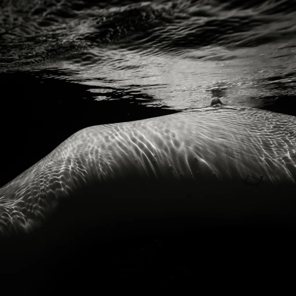 Submerged Contours