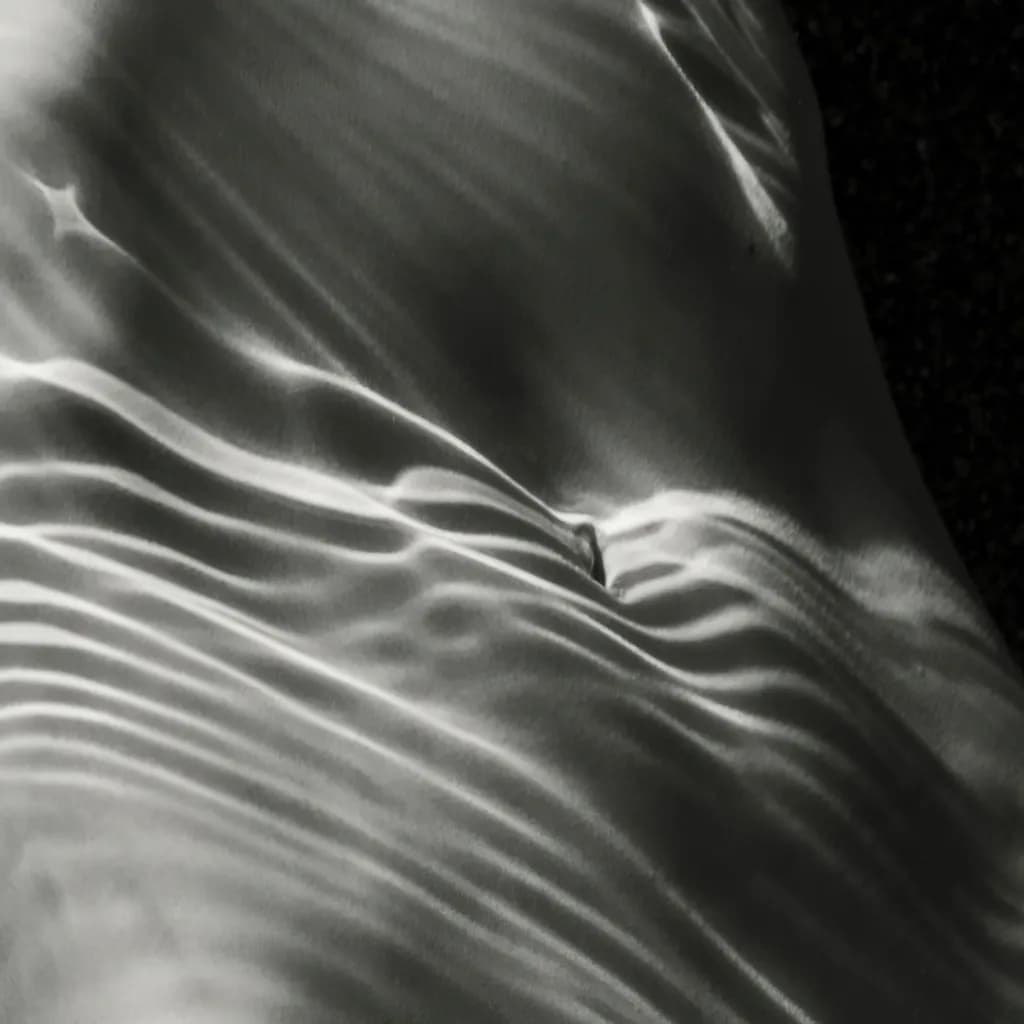 Liquid Shadows