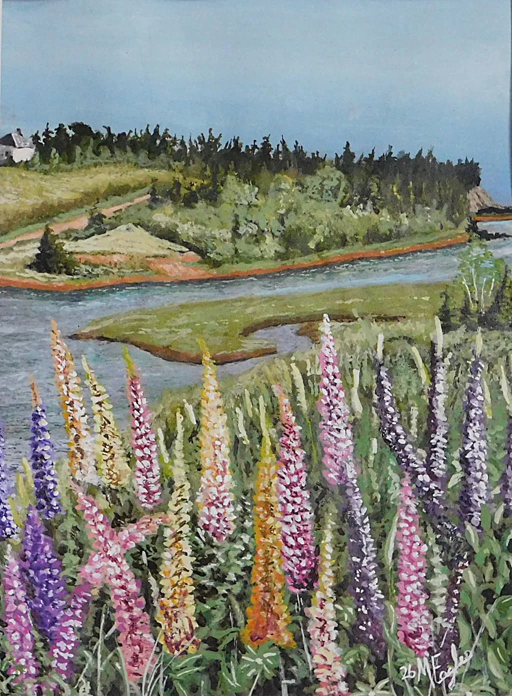 Lupins at the Shore