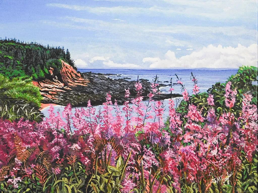 Bay of Fundy Shoreline