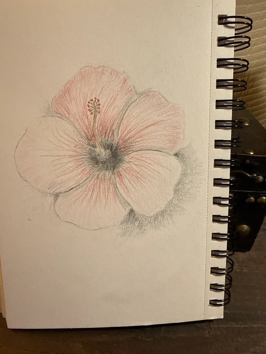 Subtle Hibiscus
