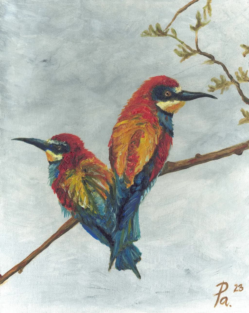 Bienenfresser Pair