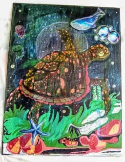 Celestial Reef Journey