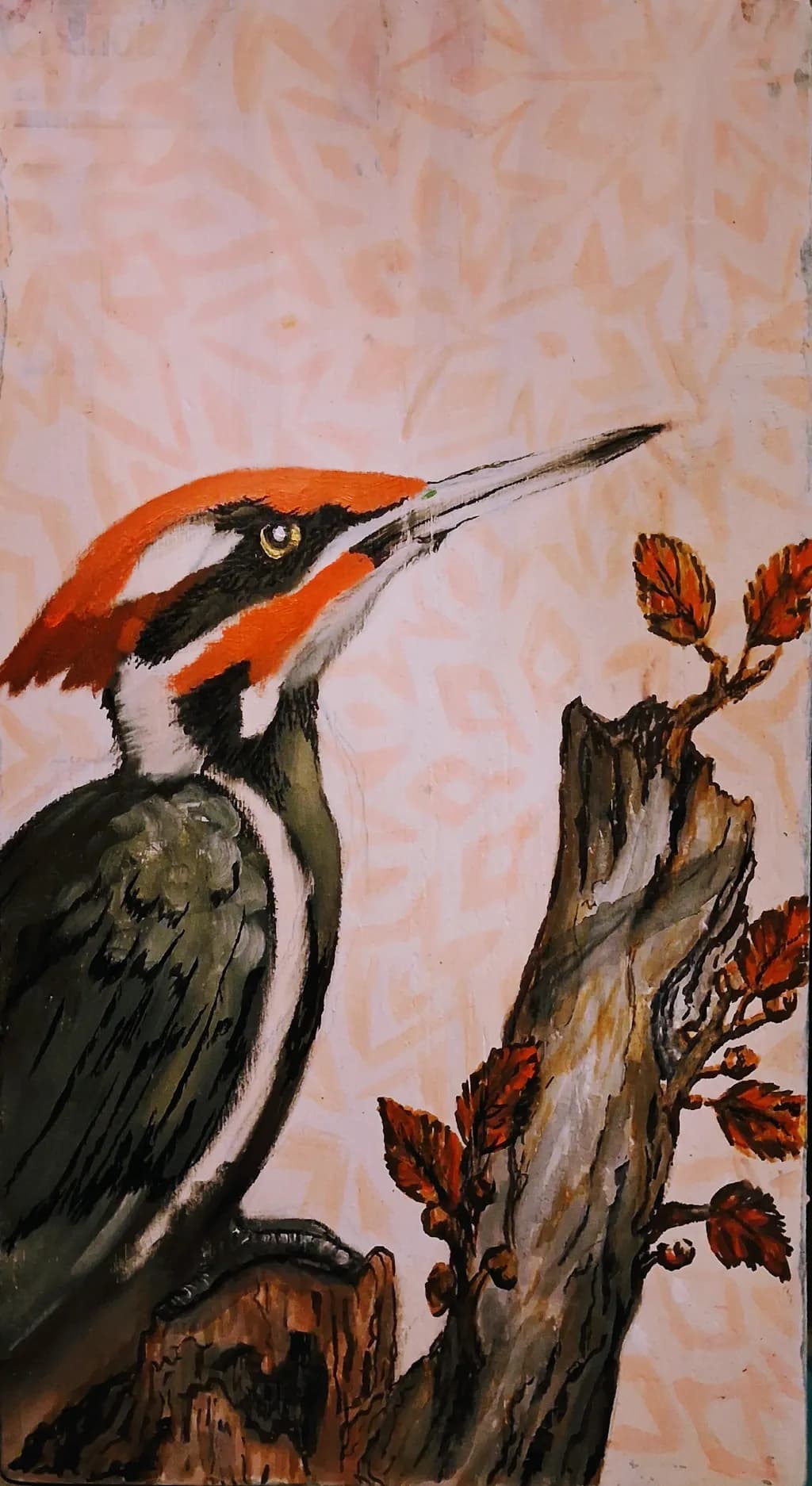 Red-Crested Watcher