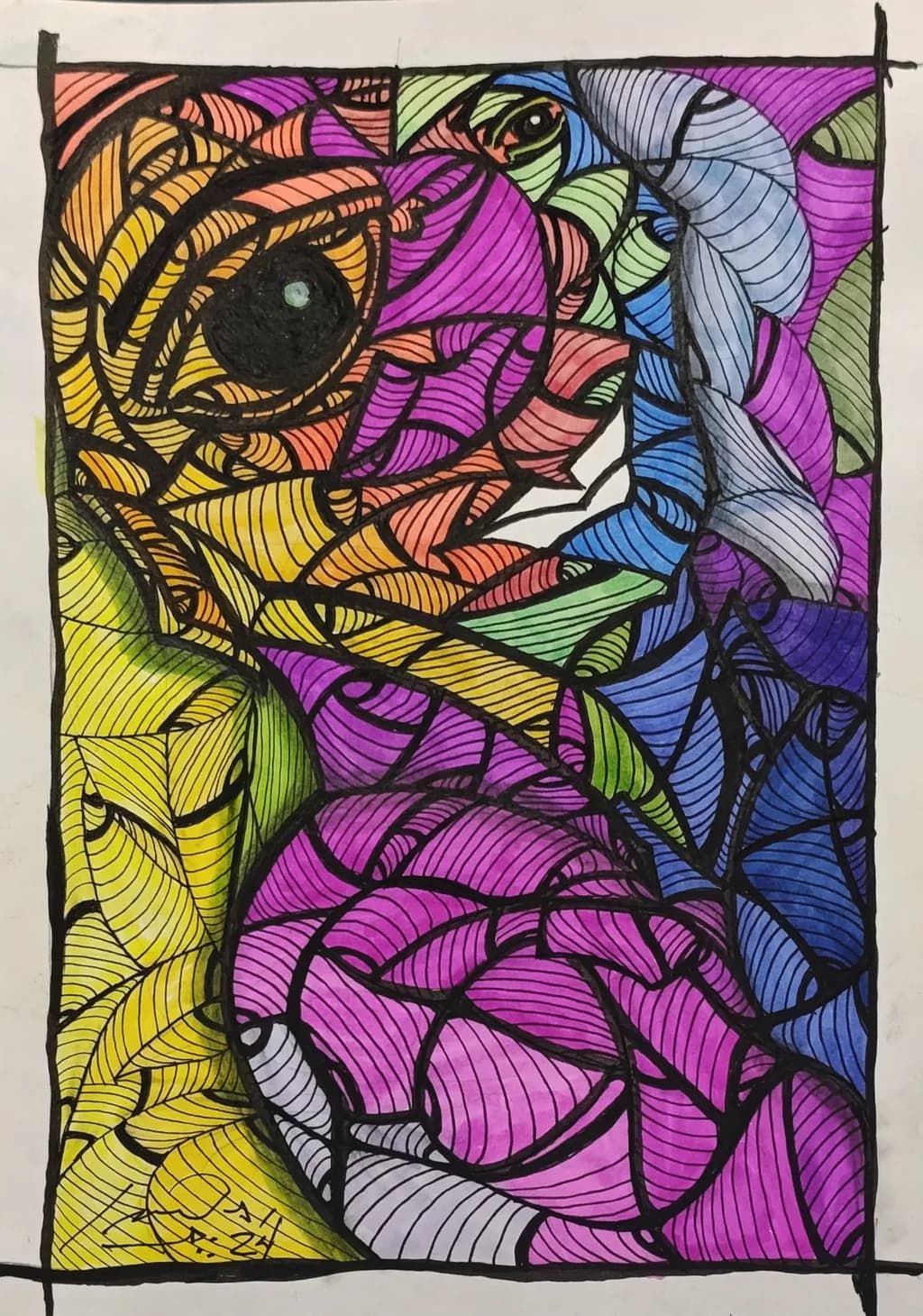 Fragmented Parrot