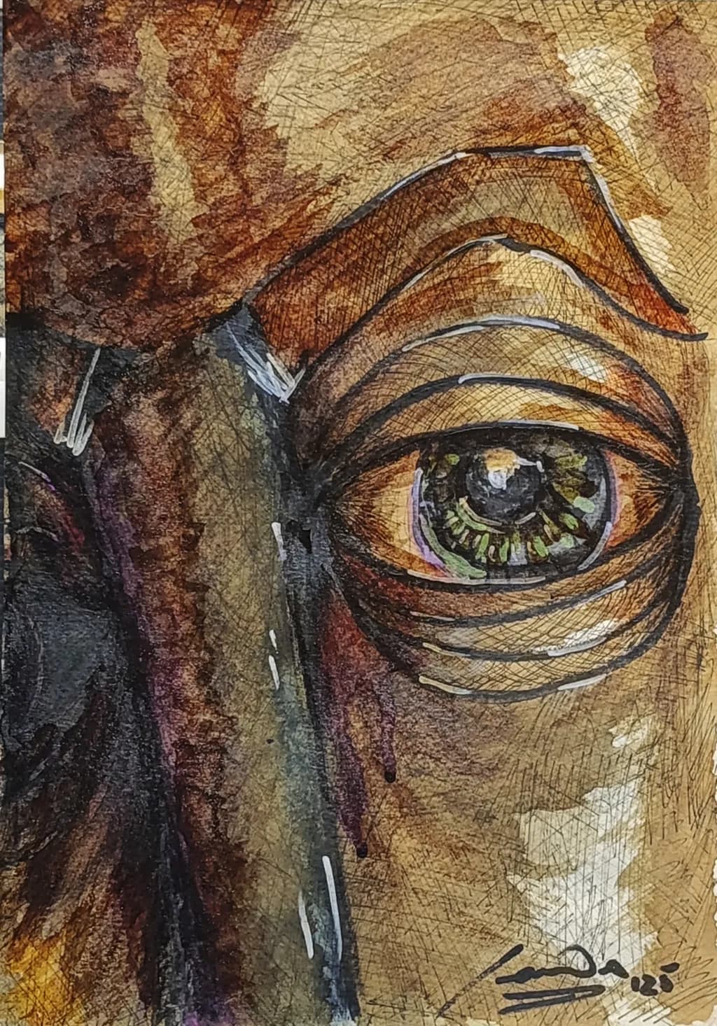 Gaze of the Horse