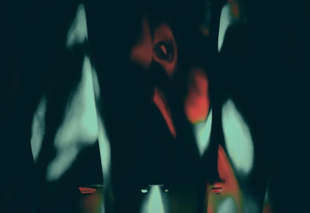 Shadowed Echoes