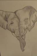 Original