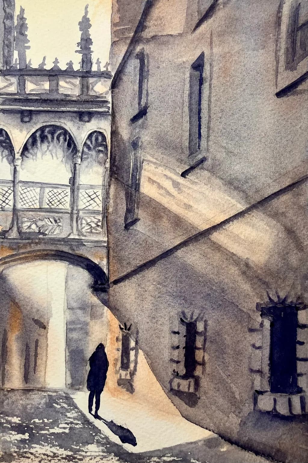 Shadowed Passage