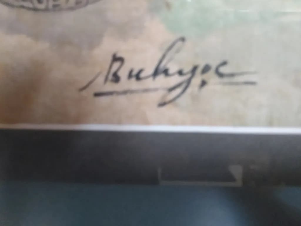 Buckeye Signature
