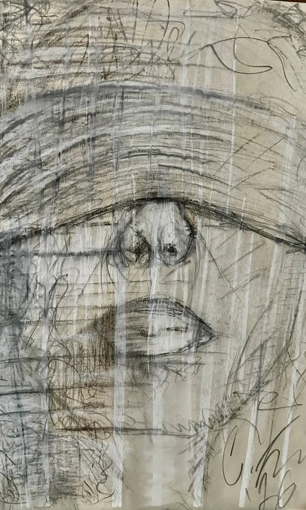 Veiled Reflection