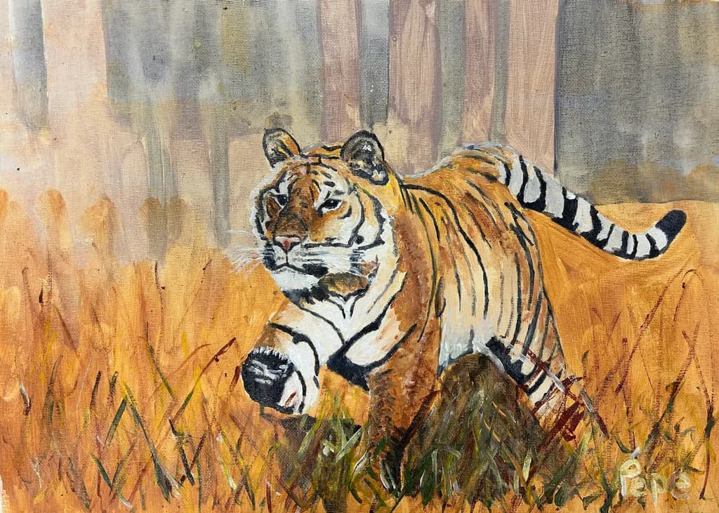 Stride of the Stripes