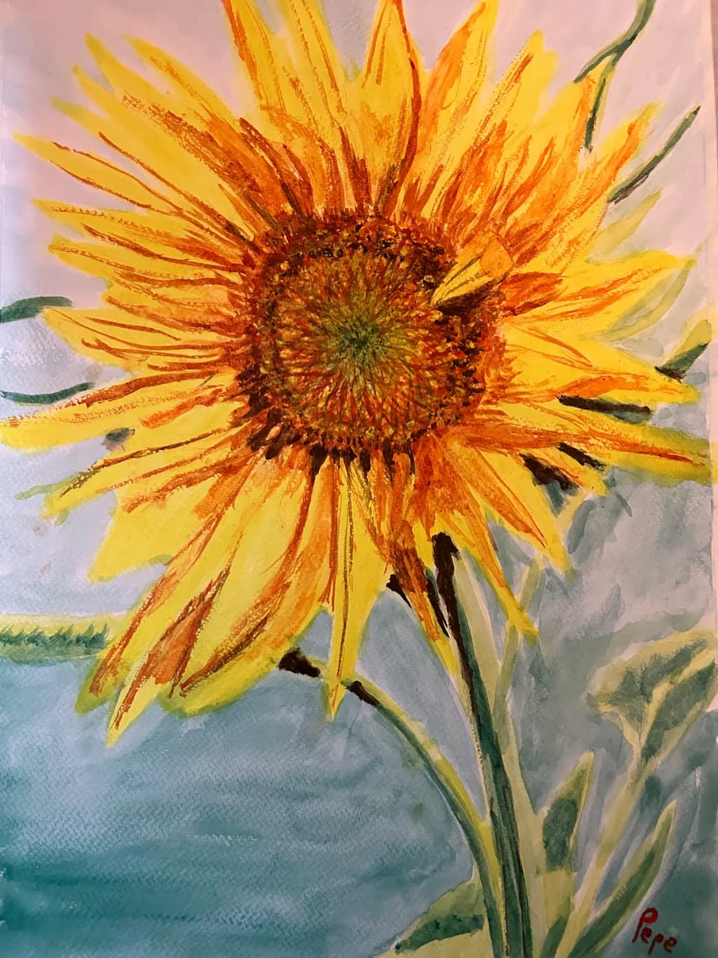 Sunny Burst