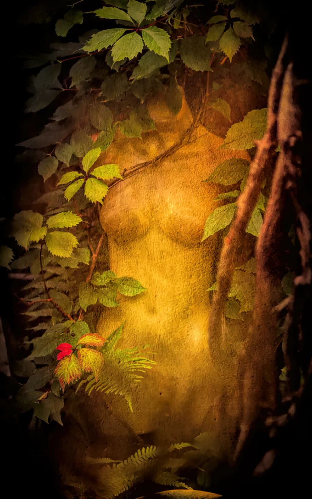 Hidden Forest Torso