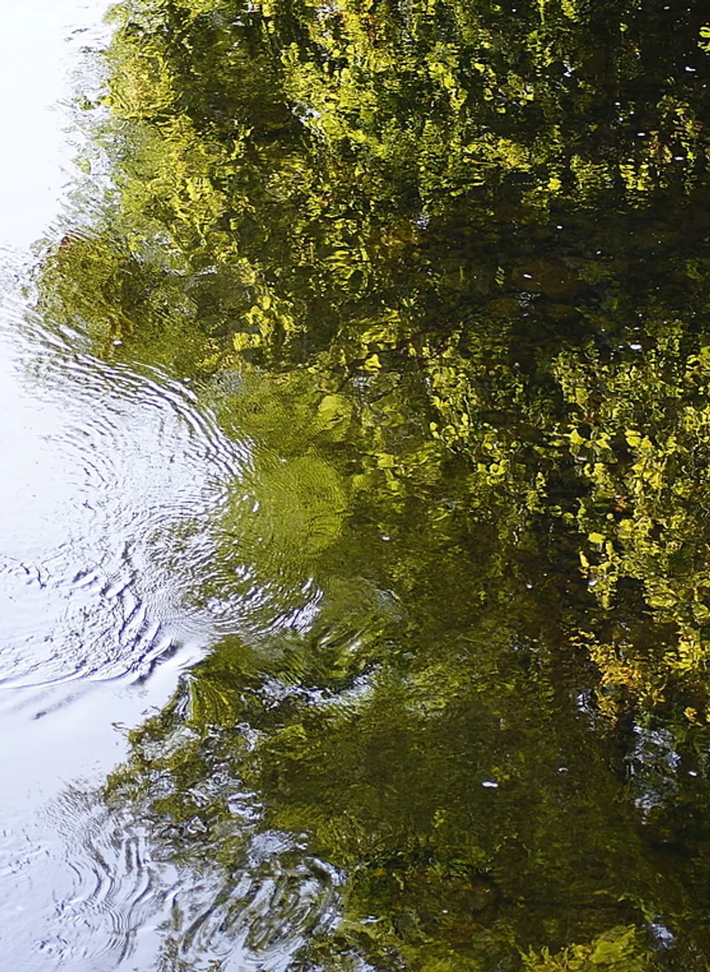 Rippling Reflection