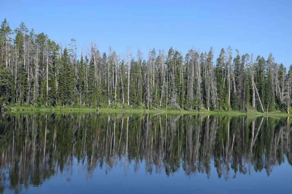 Reflection in Grand Teton NP