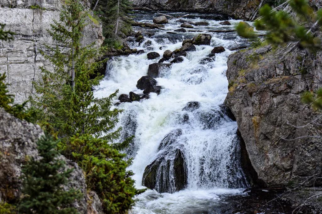 Yellowstone Riverfall