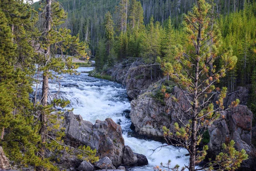 Yellowstone Riverfall