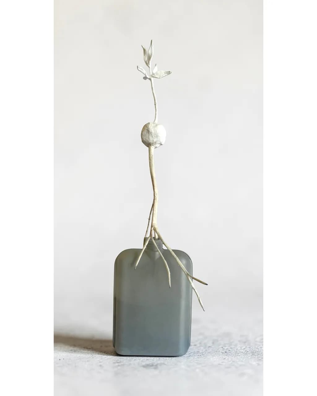 Rooted Essence